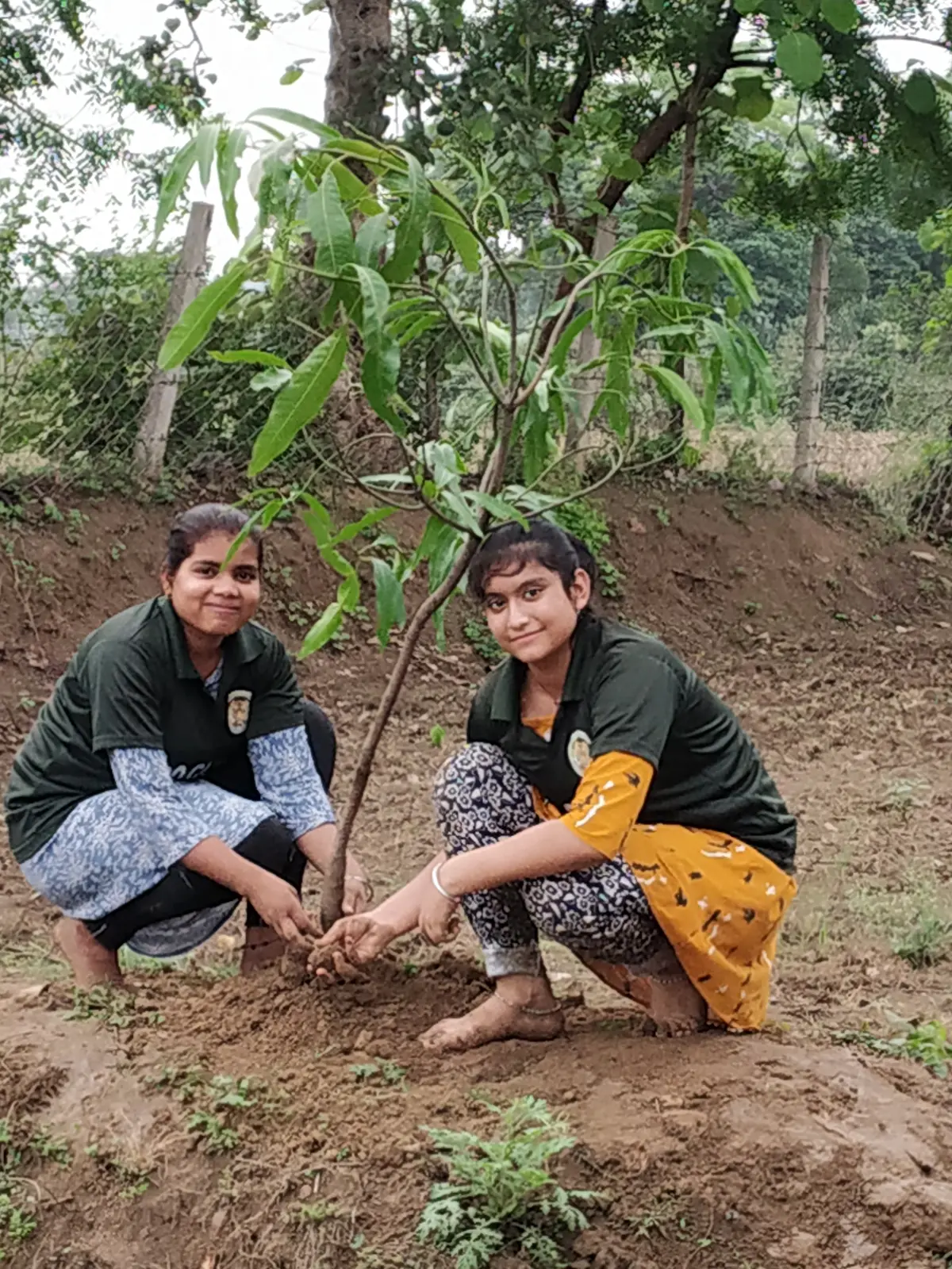 Student's Farm - photo 3